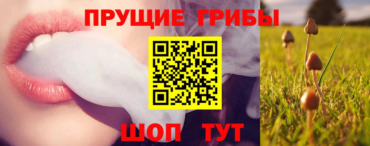 Псилоцибиновые грибы Cubensis  Галлюциногенные грибы мухоморы  Вход с VPN  Людиново 